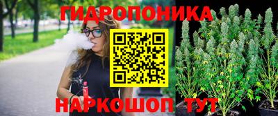 индика Кунгур