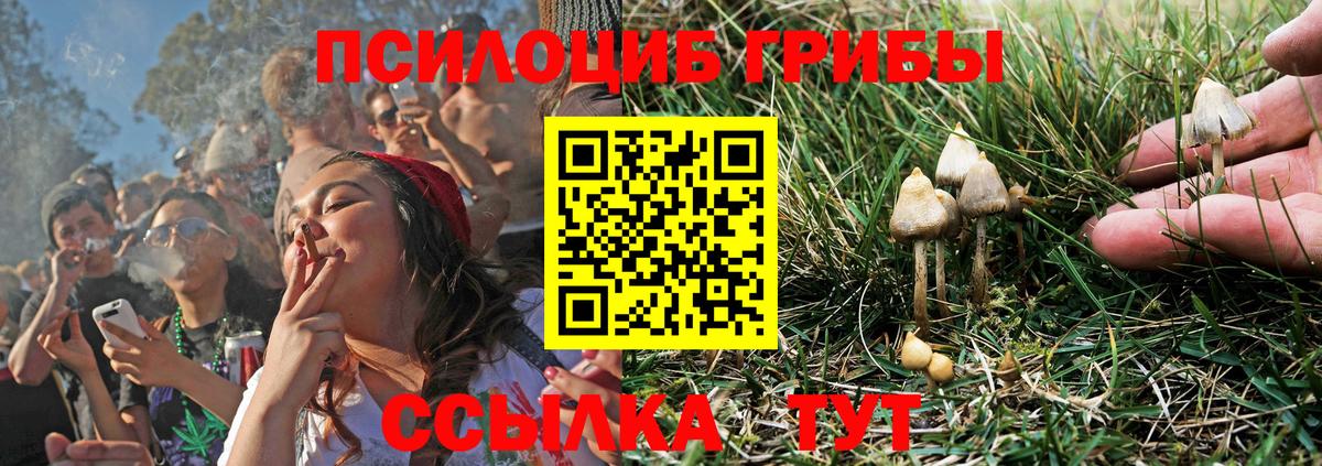Галлюциногенные грибы Cubensis  Псилоцибиновые грибы мухоморы  Вход с VPN  Иваново 