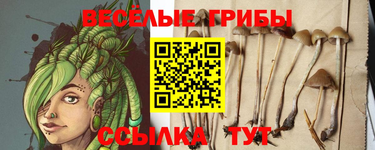 Галлюциногенные грибы ЛСД Иваново